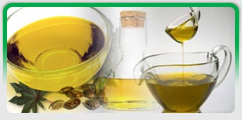Castor Oil, Commercial Castor Oil, Castor Oil Extraction, Castor Oil & Derivatives, Castor Seeds, Refined Castor Oil (FSG), Castor Seed Extraction Meal