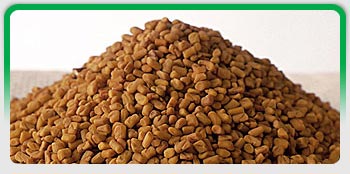 Fenugreek Seeds, Exporters of Spices, Cumin Seeds, Fennel Seeds, Coriander Seeds, Turmeric Fingers
