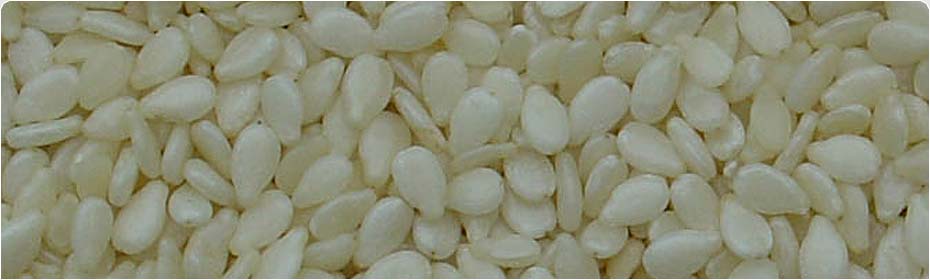 Oil Seeds, Exporters of Groundnut Kernels, Hulled Sesame Seeds, Natural White Sesame Seeds, Natural Black Sesame Seeds, Niger Seeds