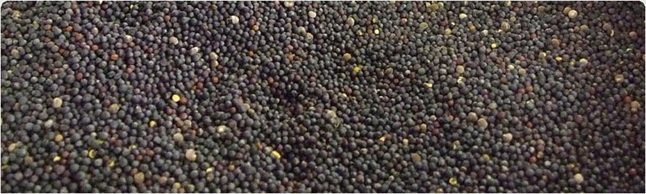 Rapeseed Extraction Meal, Exporters of Poultry & Cattle Feed, Soybean Extraction Meal, Groundnut Extraction Meal, De Oiled Rice Bran Extraction